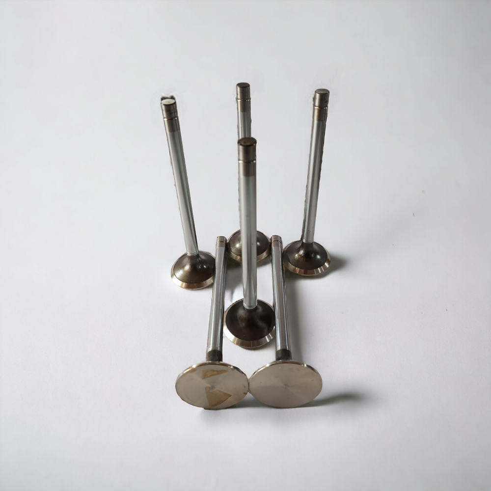 Válvulas de Escape SM 8210 para Iveco Eurotech Eurotrakker