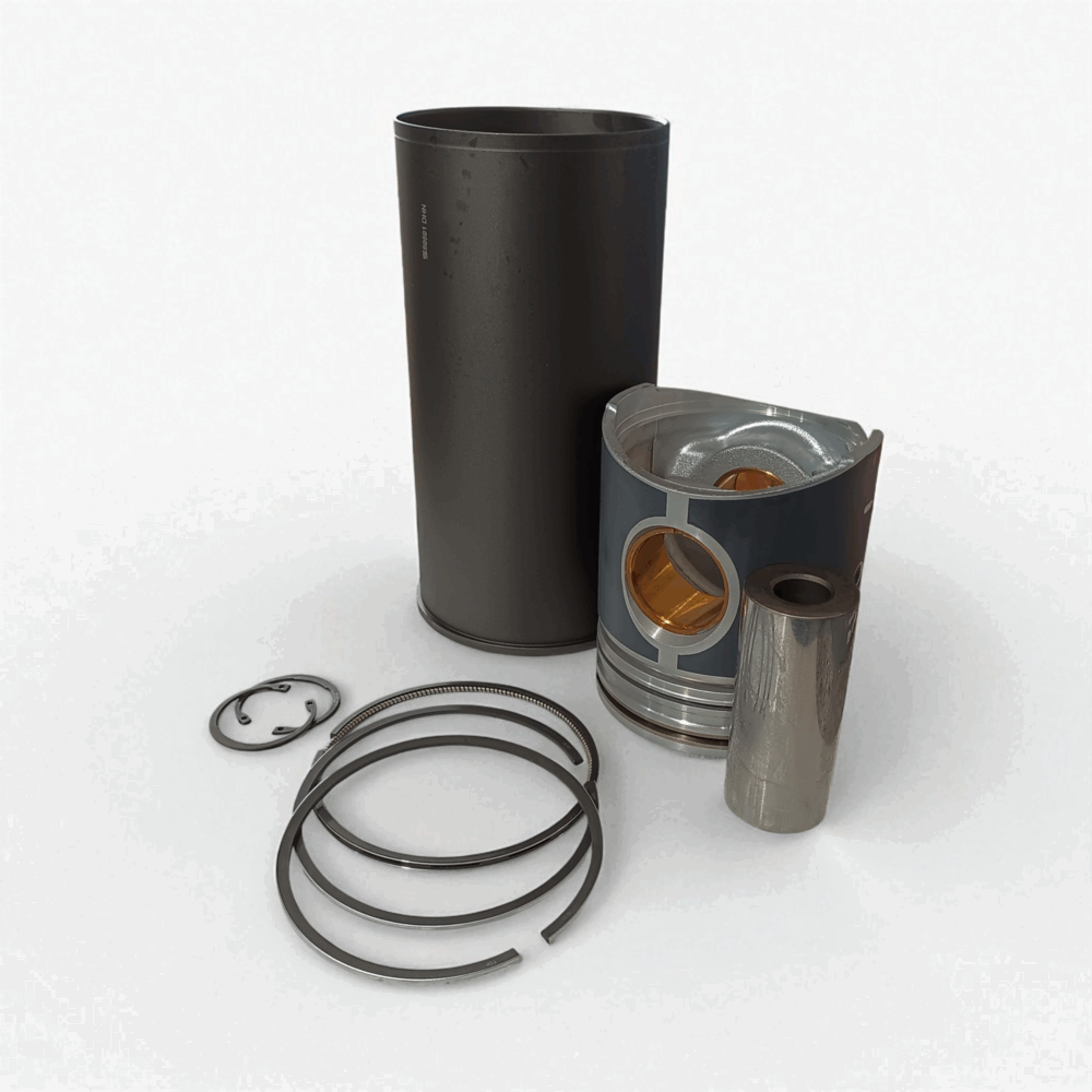 Juego de Motor KOLBENSCHMIDT para IVECO